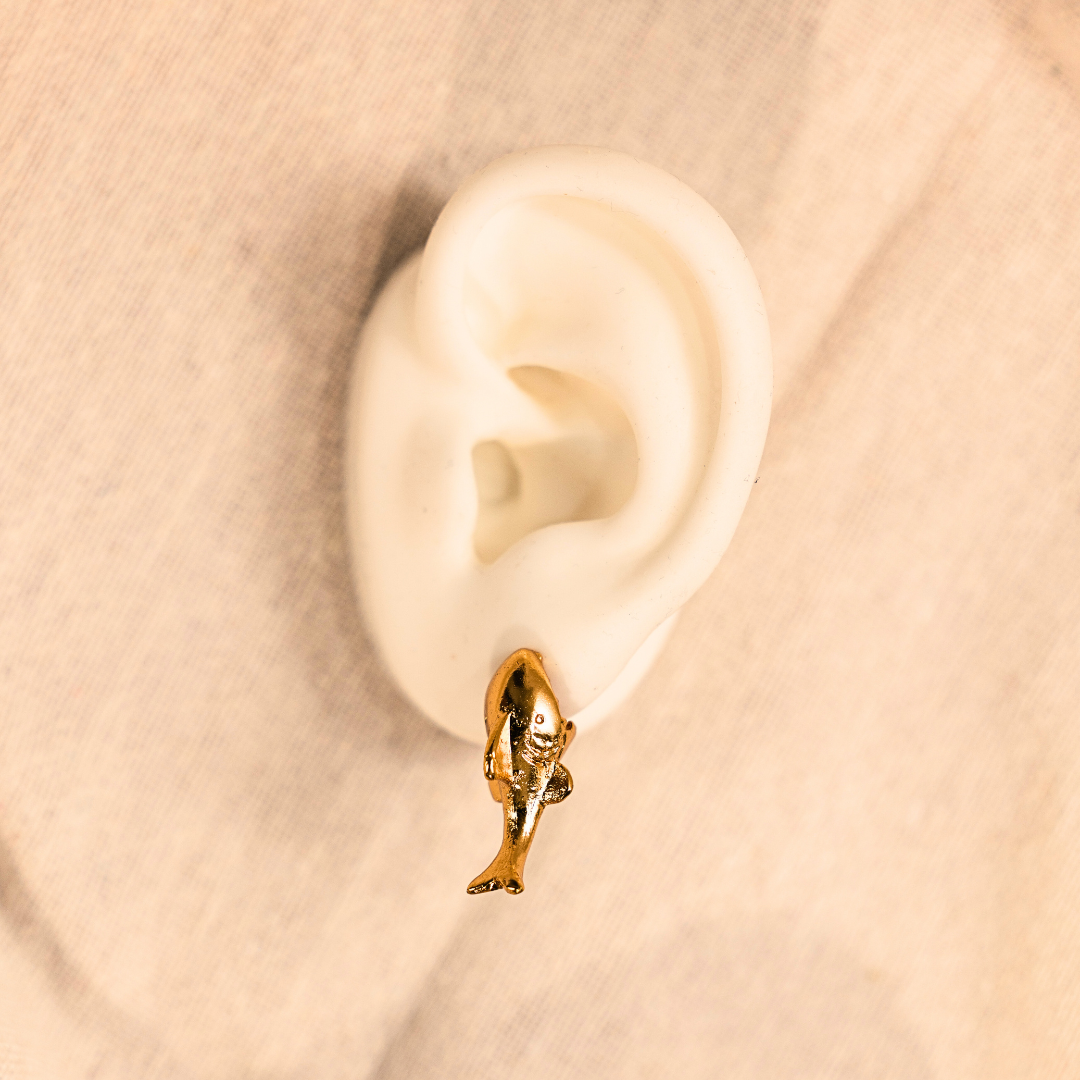 Kit cola de ballena y tiburón