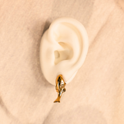 Kit cola de ballena y tiburón