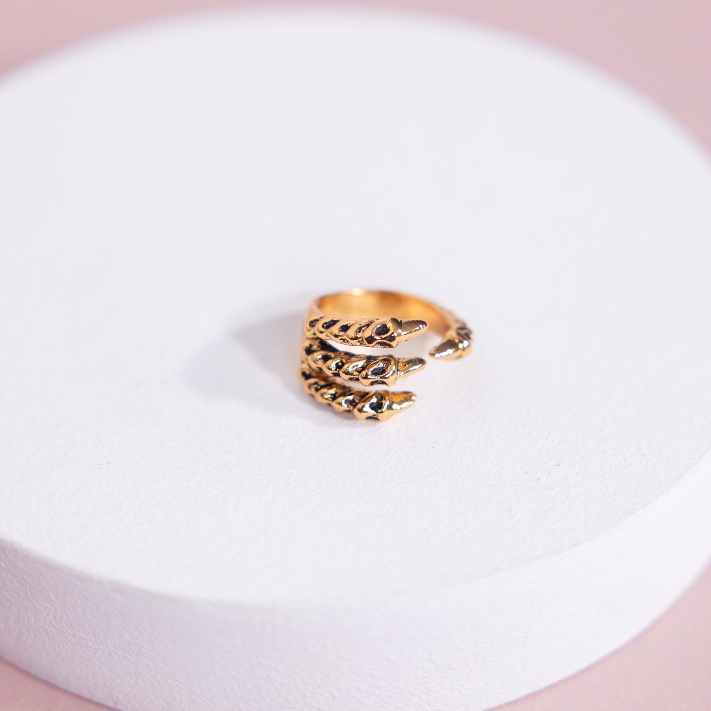 Anillo Garra