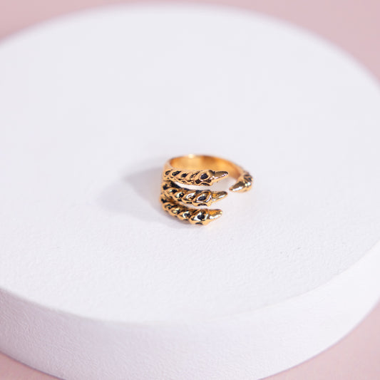 Anillo Garra