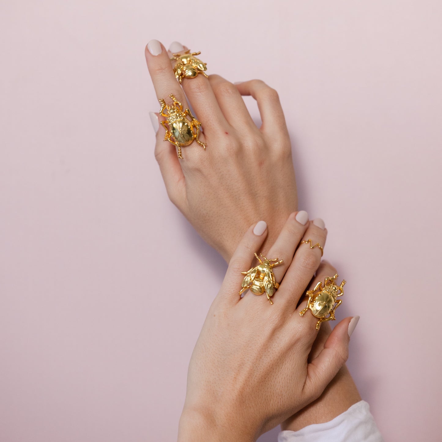 Anillos de Bichos