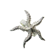 Anillo Estrella de mar