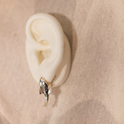 Kit cola de ballena y tiburón