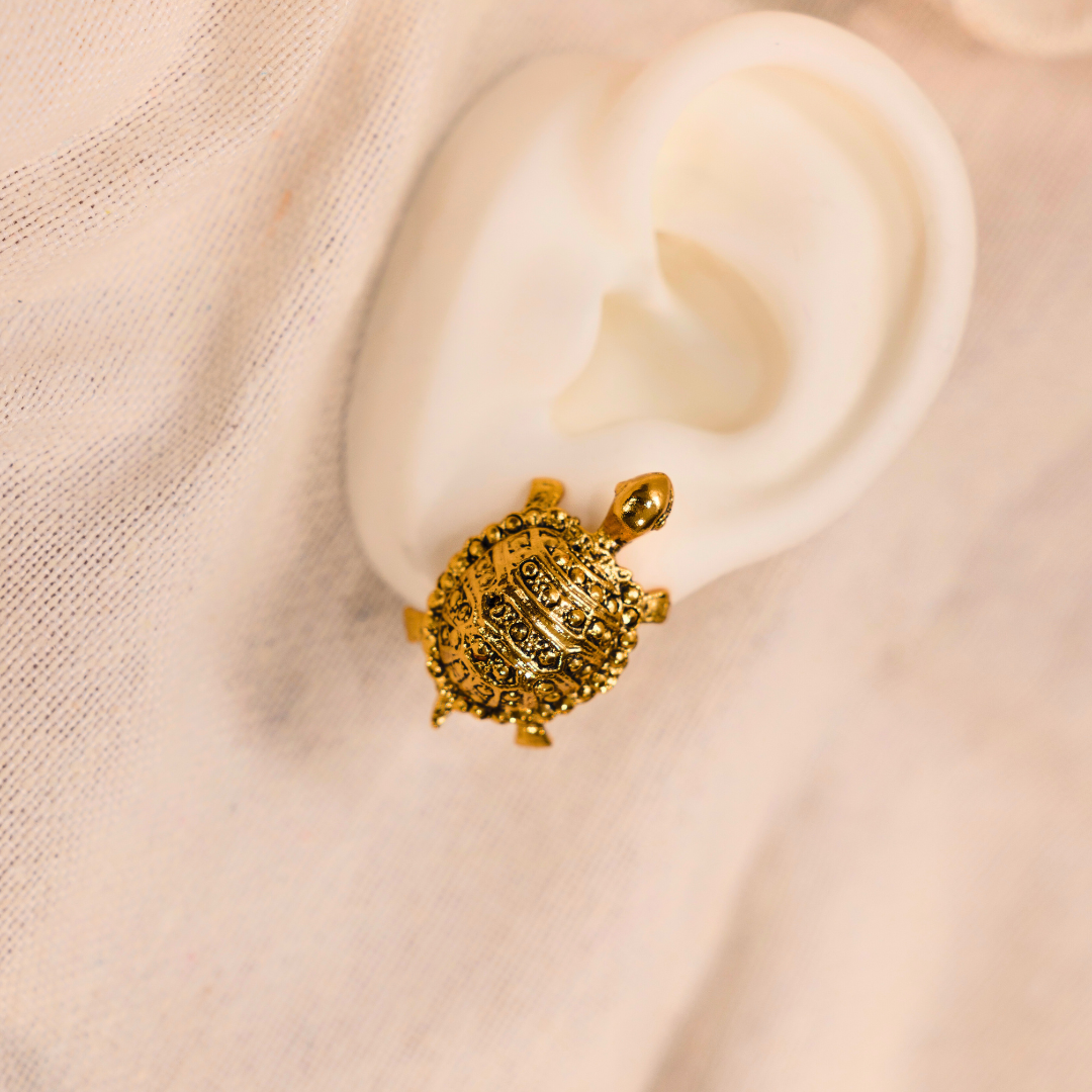 Aretes tortuga