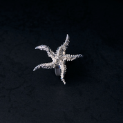 Anillo Estrella de mar