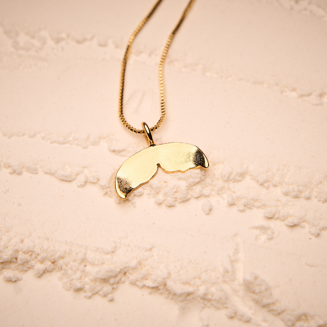 Kit cola de ballena y tiburón