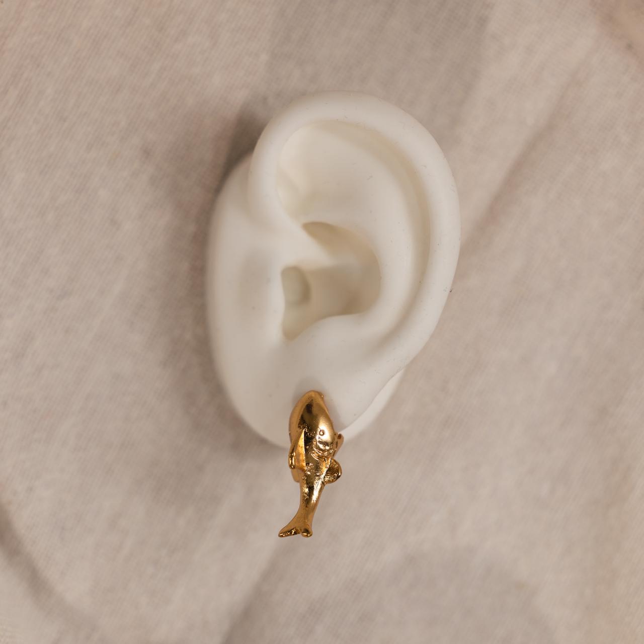 Aretes Tiburon