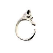 Anillo Gato